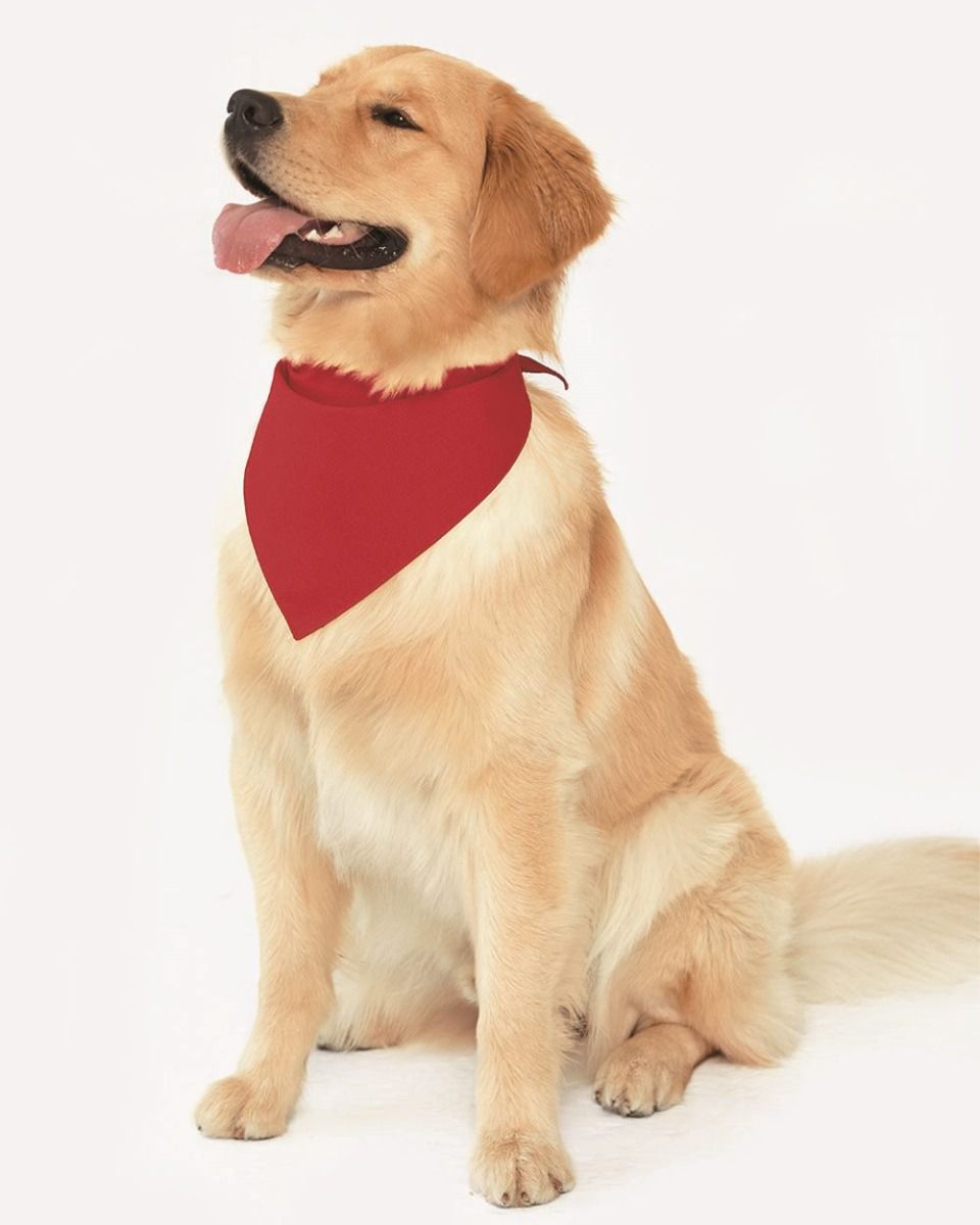 Doggie Skins - Doggie Bandana - 3905