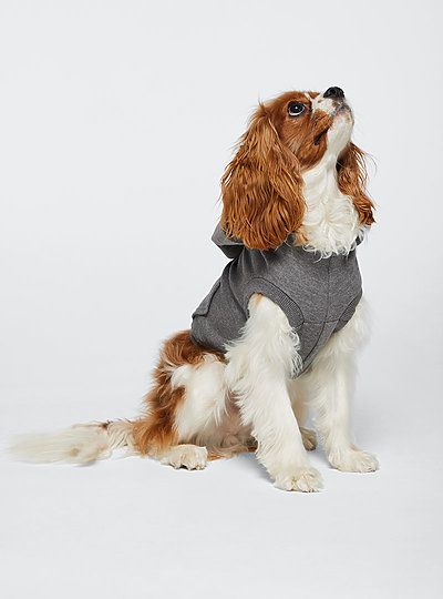 Doggie Skins - Pullover Fleece Hoodie - 3926