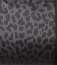 Black_Cheetah.jpg