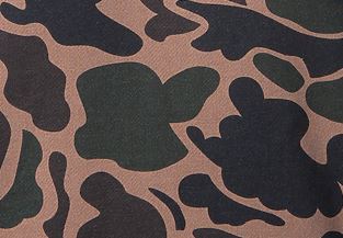 Duck_Camouflage.JPG