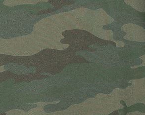 Forest_Camouflage.JPG