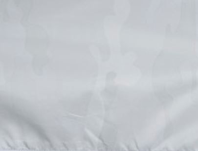 White_Camouflage.JPG