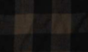 burnside_armyblack.jpg