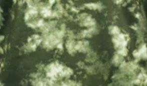 burnside_armytiedye.jpg
