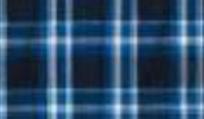 burnside_bluewhite.jpg