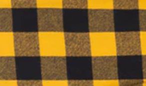 burnside_goldblack.jpg