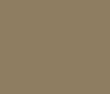 lat_COYOTEBROWN.jpg