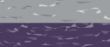lat_VintageHeather_VintagePurple.jpg