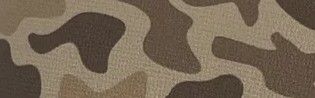 zappedbrwnoldcamo.jpg